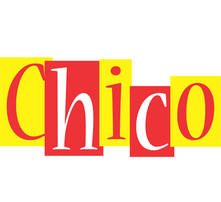 Chico errors logo