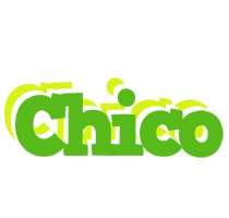 Chico picnic logo