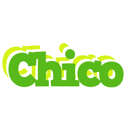 Chico picnic logo