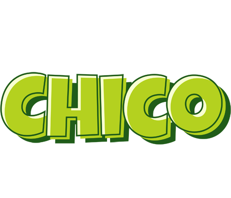Chico summer logo