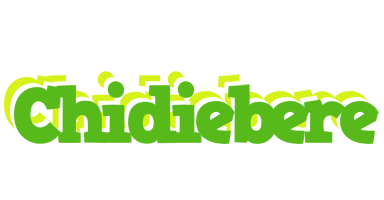 Chidiebere picnic logo