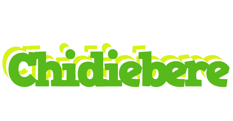 Chidiebere picnic logo