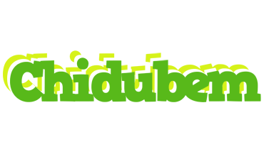 Chidubem picnic logo