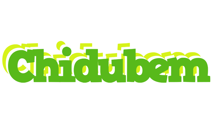 Chidubem picnic logo