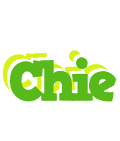 Chie picnic logo