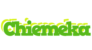 Chiemeka picnic logo