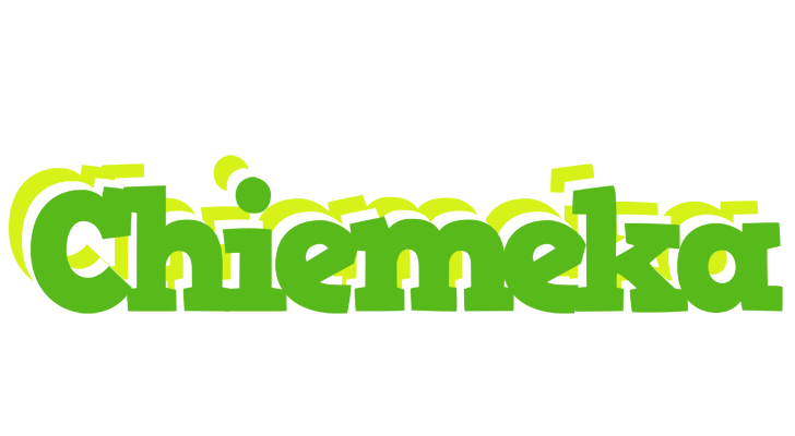 Chiemeka picnic logo