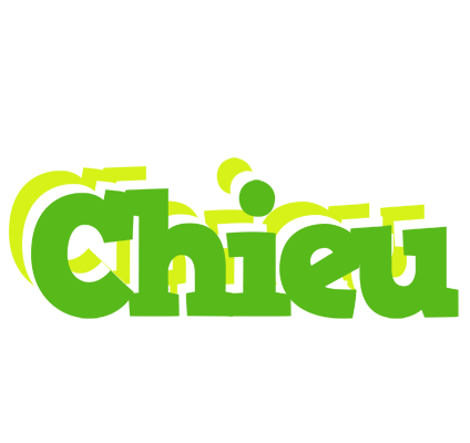 Chieu picnic logo