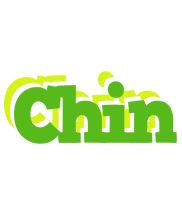 Chin picnic logo