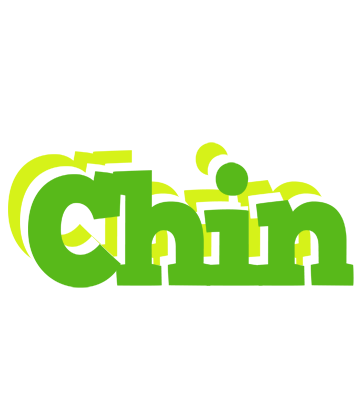 Chin picnic logo