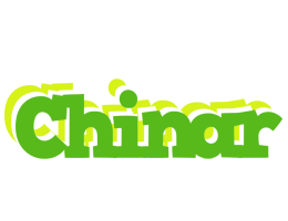 Chinar picnic logo