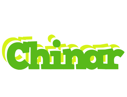 Chinar picnic logo