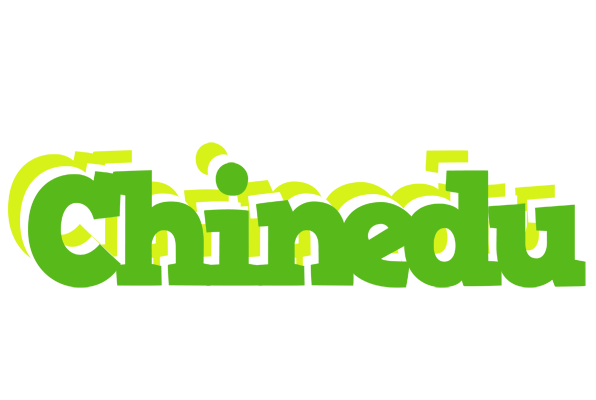 Chinedu picnic logo