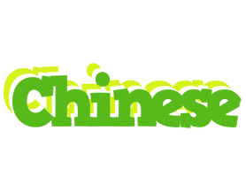 Chinese picnic logo