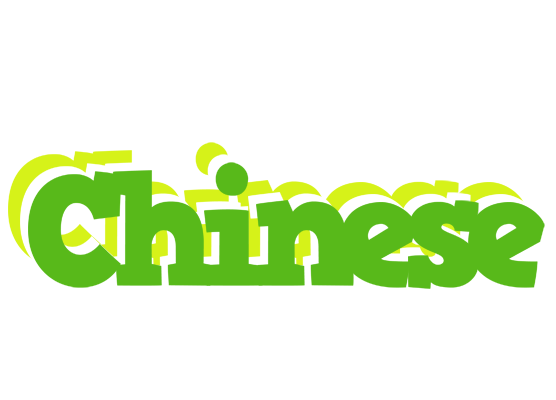 Chinese picnic logo