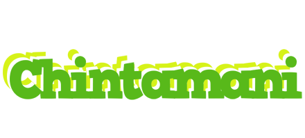 Chintamani picnic logo