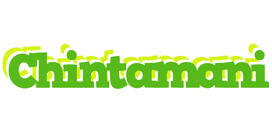 Chintamani picnic logo