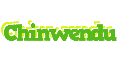 Chinwendu picnic logo