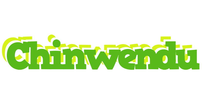 Chinwendu picnic logo