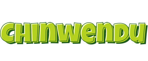 Chinwendu summer logo