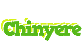 Chinyere picnic logo