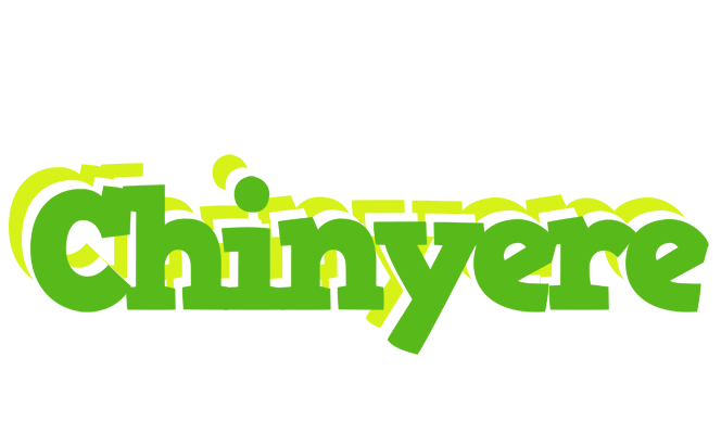 Chinyere picnic logo