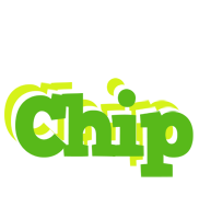 Chip picnic logo