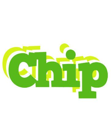 Chip picnic logo