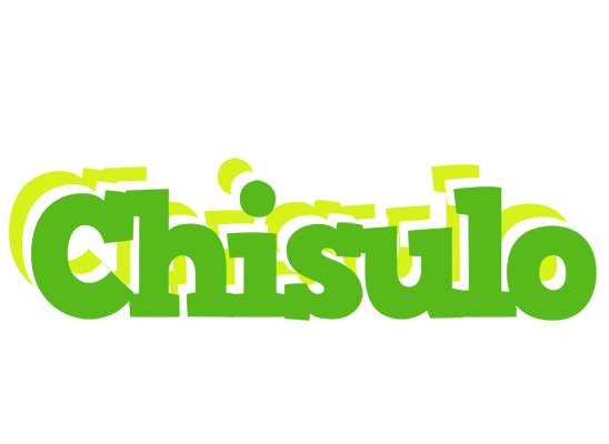 Chisulo picnic logo
