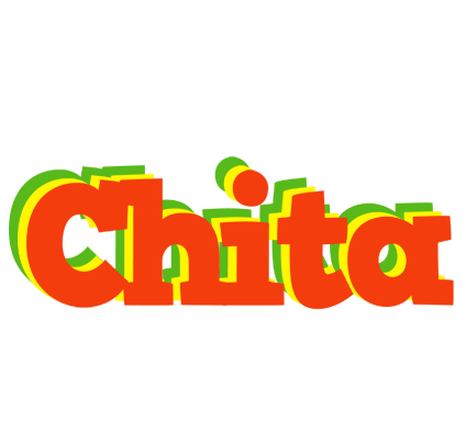 Chita bbq logo