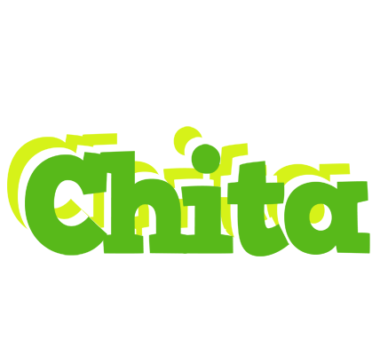 Chita picnic logo