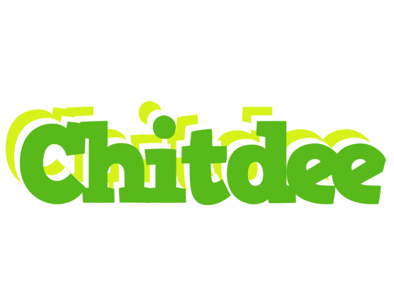 Chitdee picnic logo