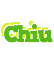 Chiu picnic logo