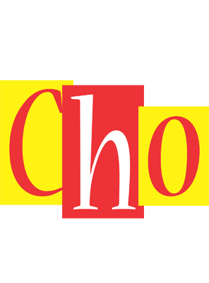 Cho errors logo