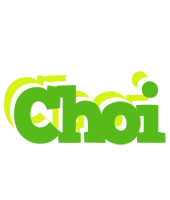 Choi picnic logo