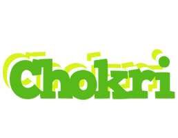 Chokri picnic logo