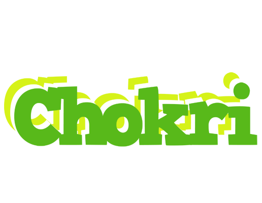 Chokri picnic logo