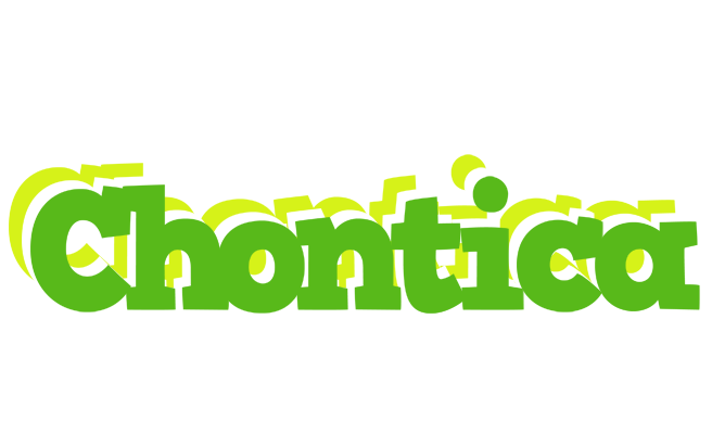 Chontica picnic logo