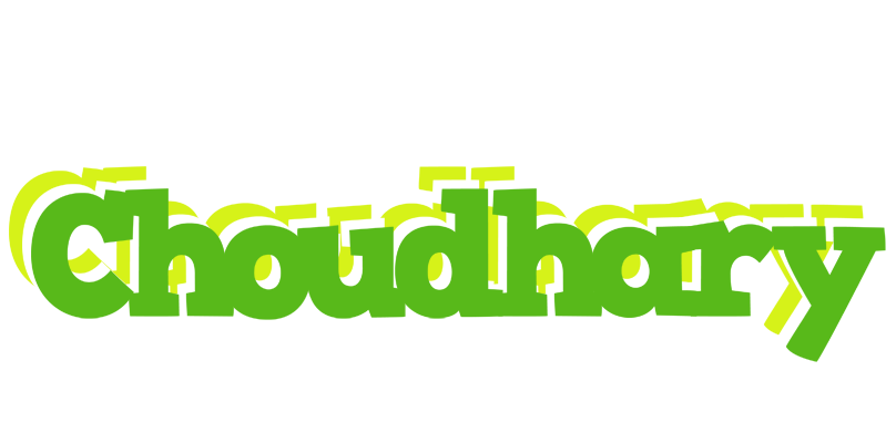 Choudhary picnic logo