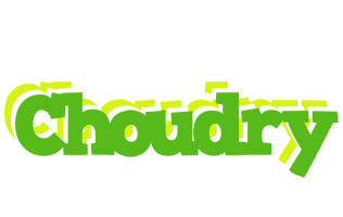 Choudry picnic logo