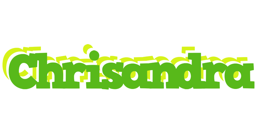 Chrisandra picnic logo