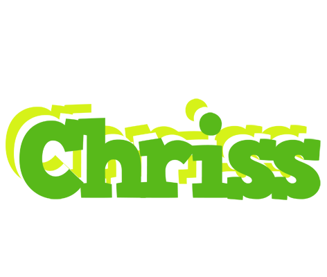 Chriss picnic logo