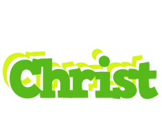 Christ picnic logo