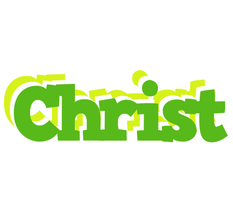 Christ picnic logo