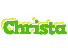 Christa picnic logo