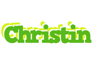 Christin picnic logo