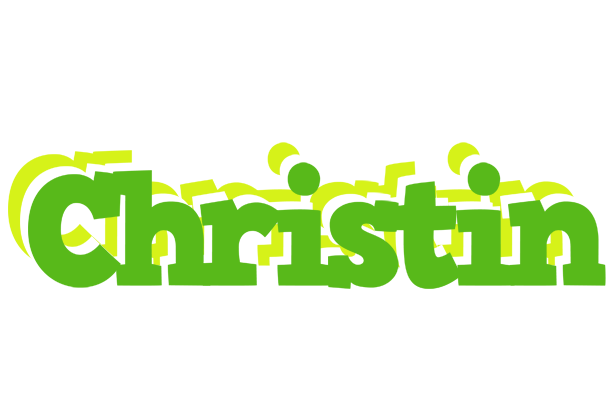 Christin picnic logo