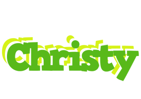 Christy picnic logo