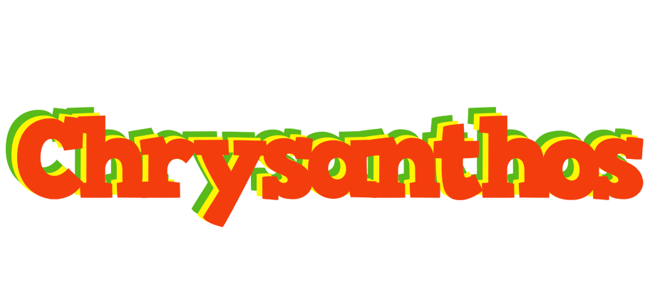 Chrysanthos bbq logo