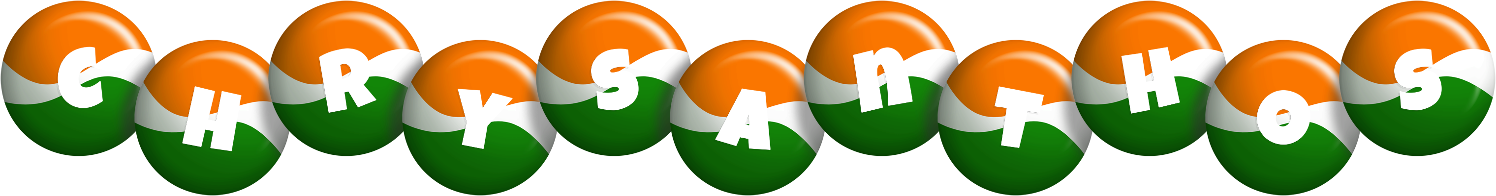 Chrysanthos india logo
